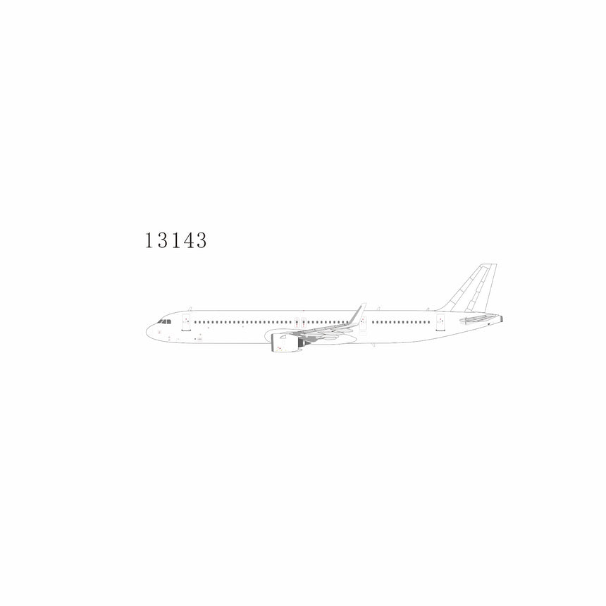 NG Models Blank Model (PW PW1000G engines) Airbus A321neo 1/400 Aircraft Scale Model