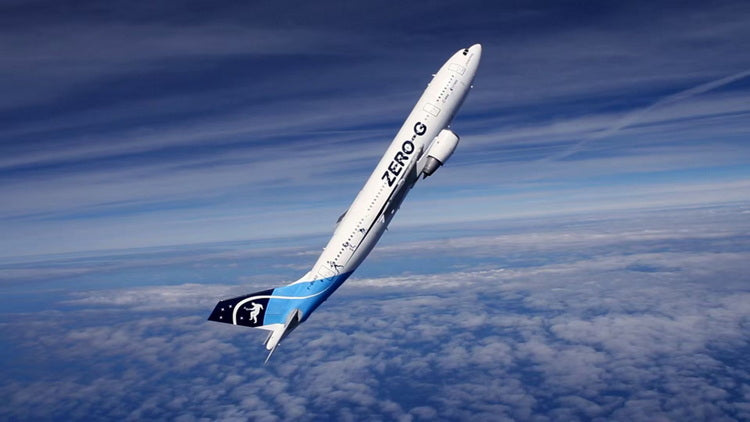 Phoenix Novespace Airbus A300B2-103 F-BUAD 1/400 Aircraft Scale Model