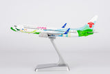 NG Models China Southern Airlines Zhuhai City of Youth Boeing 737-800/w B-1700 1/200 Aircraft Scale Model