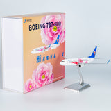 NG Models China Southern Airlines (CSAIR) (Hometown Henan) Boeing 737-800/w B-1979 1/200 Scale