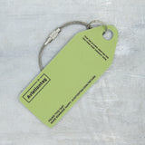 AviationTag Air Canada Airbus A319 - C-GBIK Turquoise