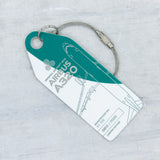 AviationTag Aer Lingus Airbus A320 - EI-CVC Green/White