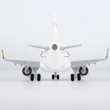 NG Models Tibet Airlines Airbus A319 (Cartoon Edition) Snap-Fit Aircraft Scale Model