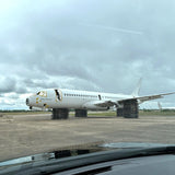 AviationTag EgyptAir Airbus A220 - SU-GFA White